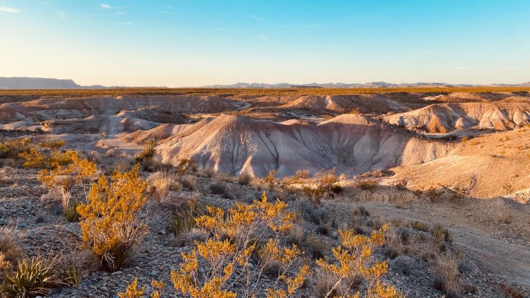 Texas: crypto miners as well as the need for electrical energy